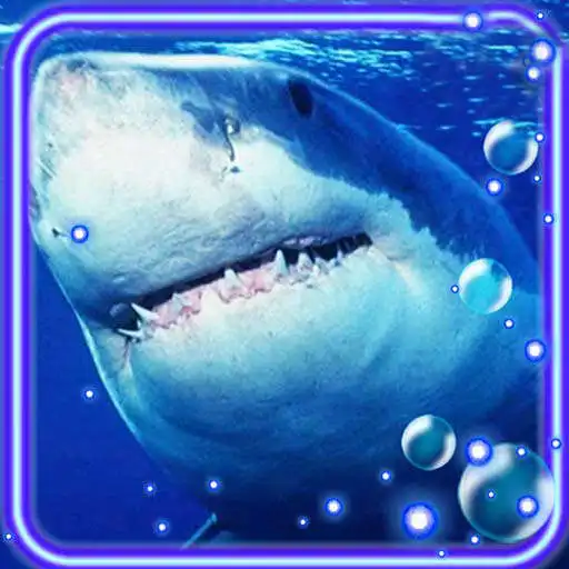 Play Shark Terrible Live Wallpaper APK