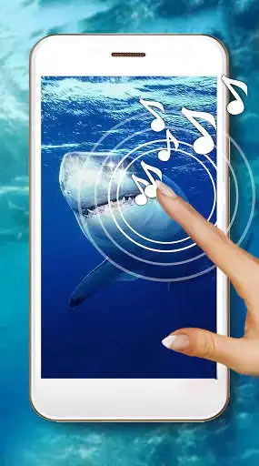 Play Shark Terrible Live Wallpaper  and enjoy Shark Terrible Live Wallpaper with UptoPlay