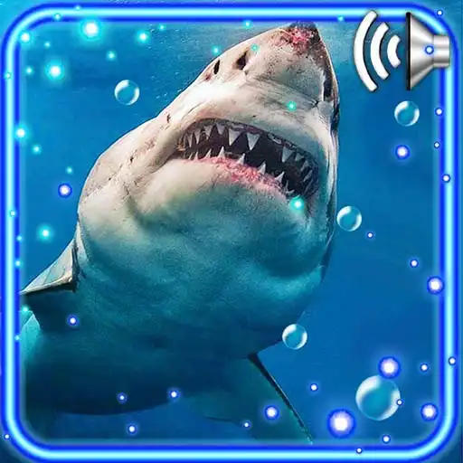 Play Shark Tropical Live Wallpaper APK