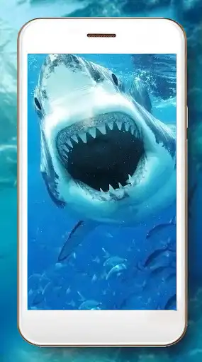 Play Shark Tropical Live Wallpaper as an online game Shark Tropical Live Wallpaper with UptoPlay