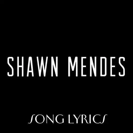 Free play online Shawn Mendes Lyrics APK