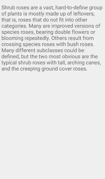 Play Shrub Rose Flower as an online game Shrub Rose Flower with UptoPlay