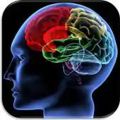 Free play online Shuffle n Slide Brain Game APK