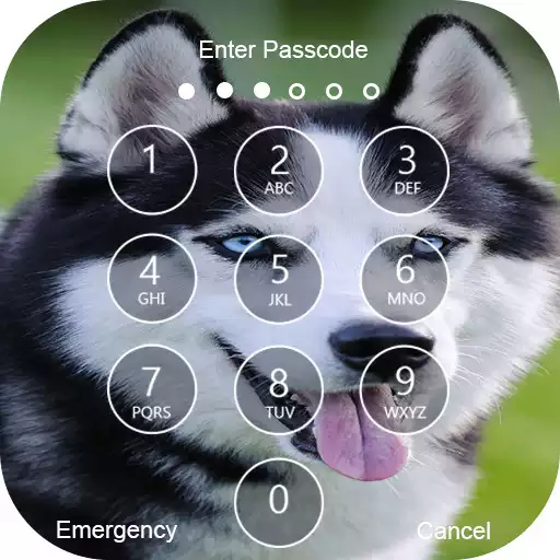 Play Siberian Husky Lock Screen & Wallpapers APK