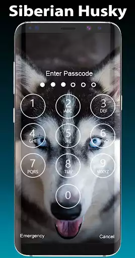 Play Siberian Husky Lock Screen & Wallpapers  and enjoy Siberian Husky Lock Screen & Wallpapers with UptoPlay