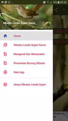 Play Sikatan Londo Super Gacor