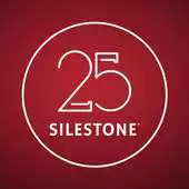 Free play online Silestone 25 APK