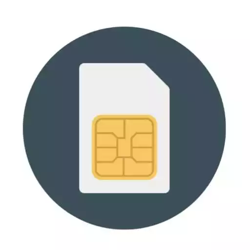 Play Sim Owner Details 2022 APK