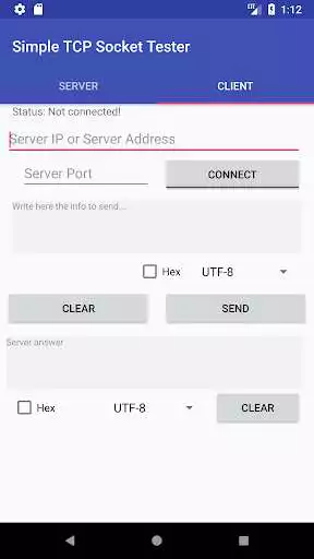 Play Simple TCP Socket Tester