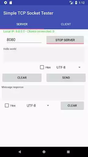 Play Simple TCP Socket Tester