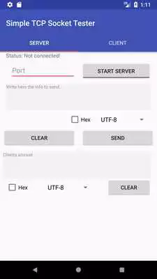 Play Simple TCP Socket Tester