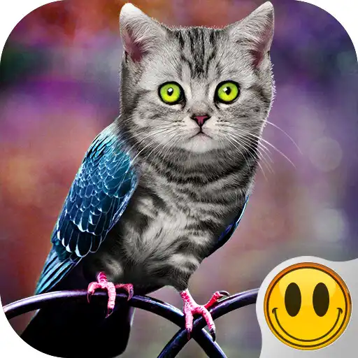 Play Simulator Morph Animal APK