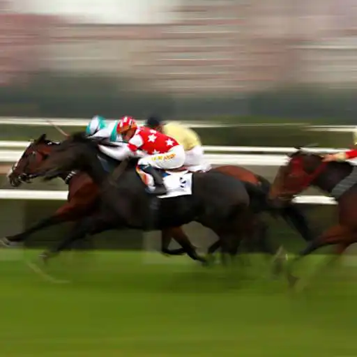 Play Singapore Horse Racing Live APK