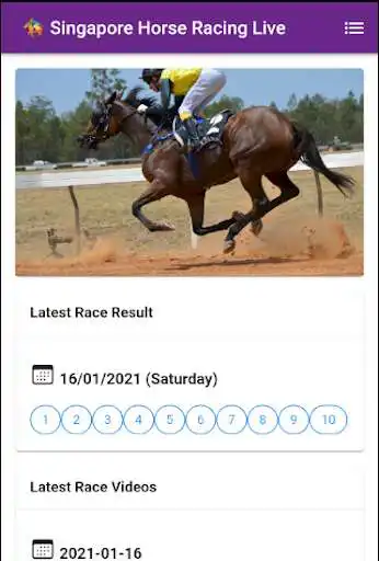 Play Singapore Horse Racing Live as an online game Singapore Horse Racing Live with UptoPlay