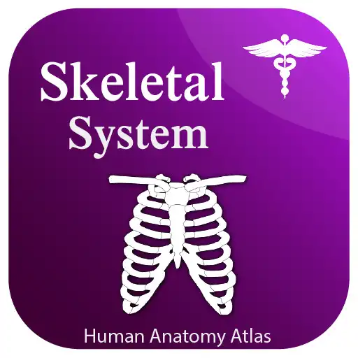 Play Skeletal System - Skeleton Anatomy 2021 APK