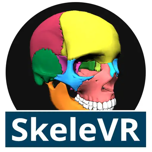 Play SkeleVR APK