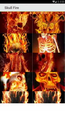 Play Skull Fire Wallpapers