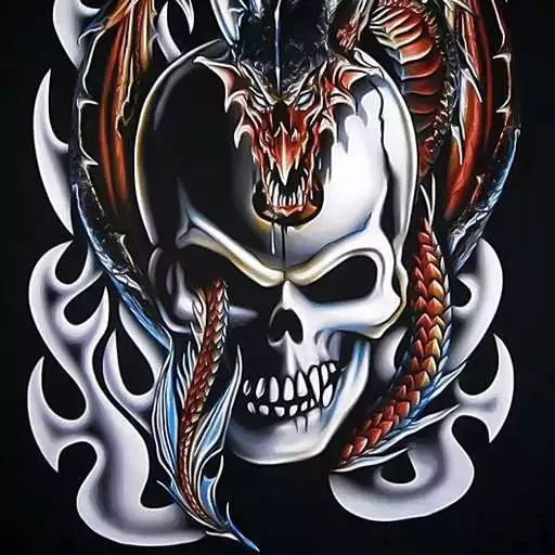 Free play online skulls and dragons wallpapers  APK