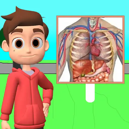 Play Skuta Anatomy APK