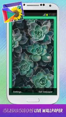 Play Slideshow Live Wallpaper