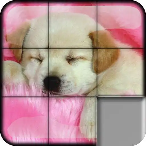 Free play online Sliding Puzzle Dogs  Puppies APK