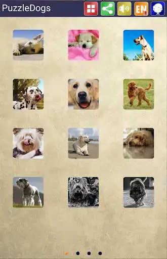 Play Sliding Puzzle Dogs  Puppies