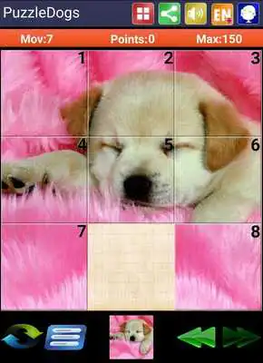 Play Sliding Puzzle Dogs  Puppies