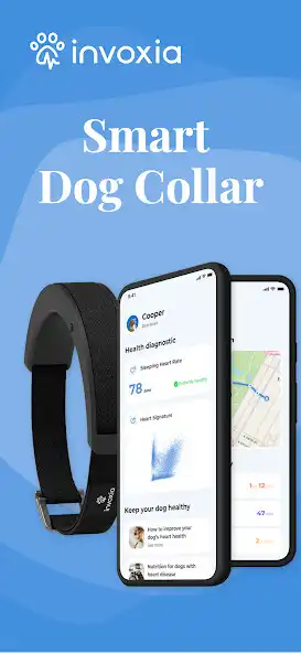 Play Smart Dog Collar  and enjoy Smart Dog Collar with UptoPlay