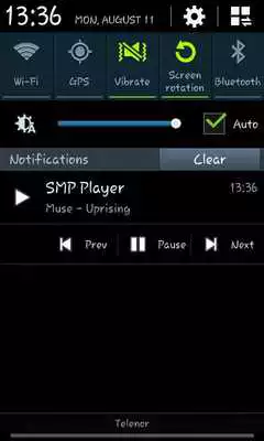 Play SMP Player