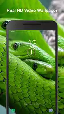 Play Snake Live Wallpaper