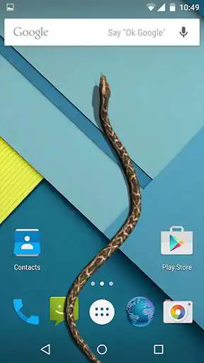 Play Snake on Screen Hissing Joke  and enjoy Snake on Screen Hissing Joke with UptoPlay