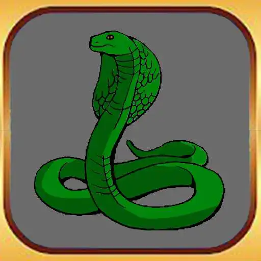 Play Snakes VS Snacks APK