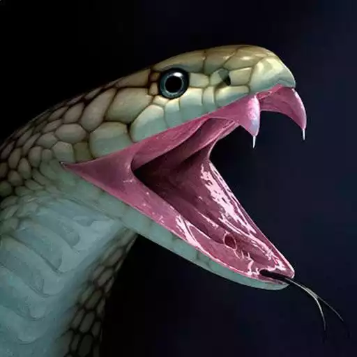 Play Snake Wallpapers APK