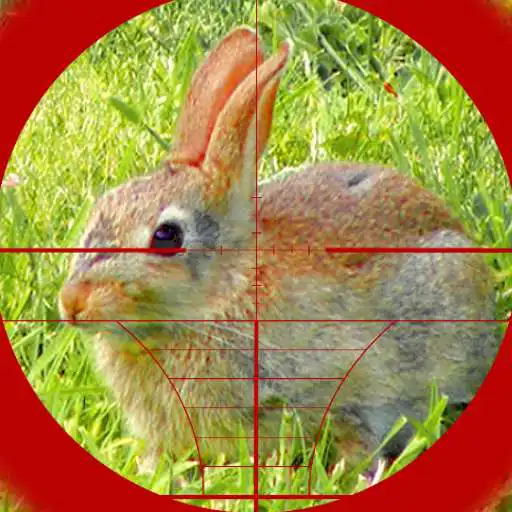 Free play online Sniper Rabbit Hunting 3D APK