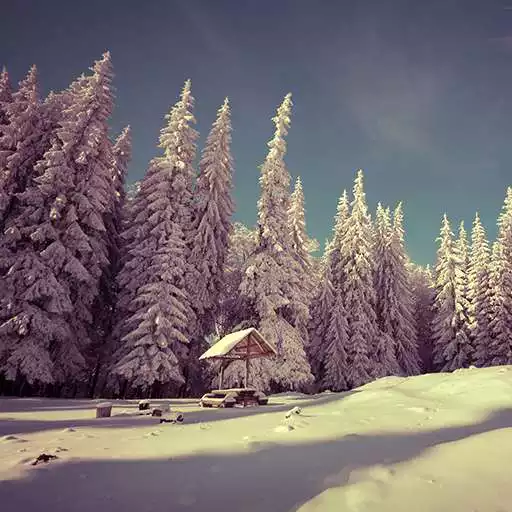 Free play online Snowfall Live Wallpapers  APK