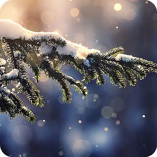 Play Snowfall Wallpaper APK