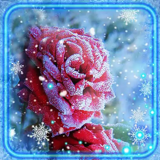 Play Snow Roses Live Wallpaper APK