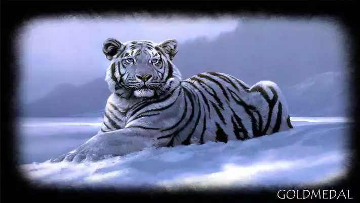 Play Snow Tiger Wallpaper