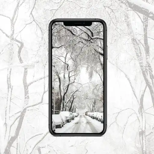 Play Snow Wallpapers - HD, QHD, FULL HD BACKGROUND APK