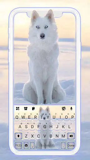 Play Snowy Wolf Keyboard Background  and enjoy Snowy Wolf Keyboard Background with UptoPlay