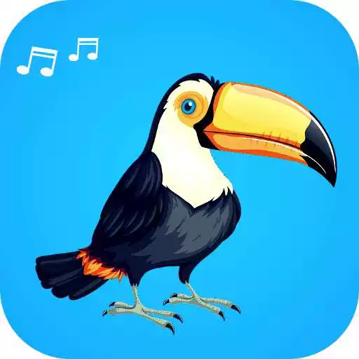 Play Song of toucan APK