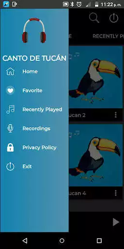 Play Song of toucan  and enjoy Song of toucan with UptoPlay