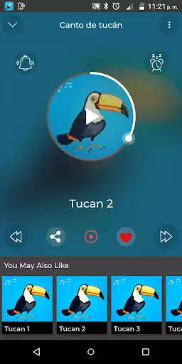 Play Song of toucan as an online game Song of toucan with UptoPlay