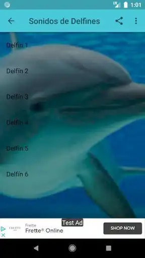 Play Sonidos de delfines as an online game Sonidos de delfines with UptoPlay