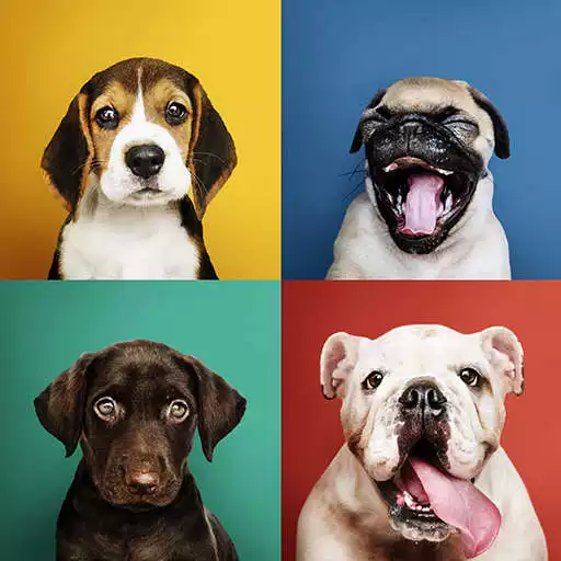 Play Sounds of Dogs Barking and Crying APK