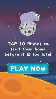 Play Space Rhino