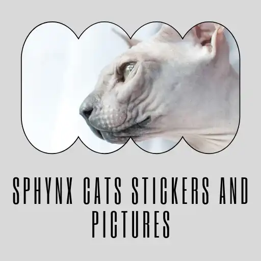 Play Sphynx Cats Stickers APK