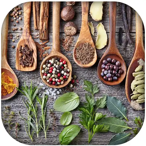 Run free android online Spices For Health APK