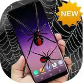 Free play online Spider On Screen APK