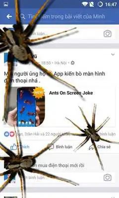 Play Spider On Screen